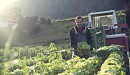 Urban Gardening in der Festungsstadt